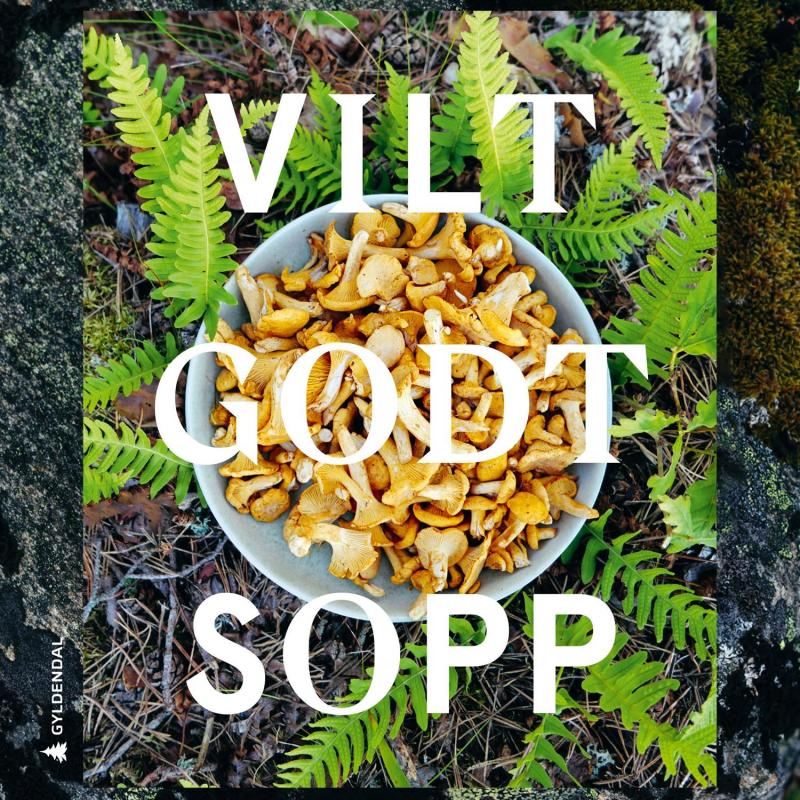 Småleverandører Bok Vilt godt sopp