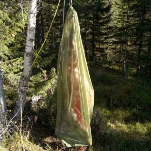 Dovrefjell Viltpose rådyr