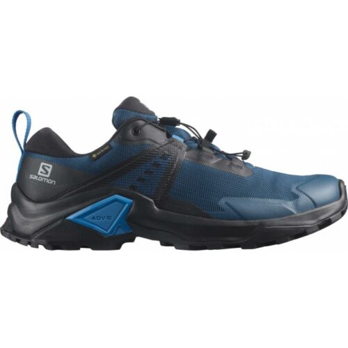 Salomon X Raise 2 Gtx Legion Blue/magnet