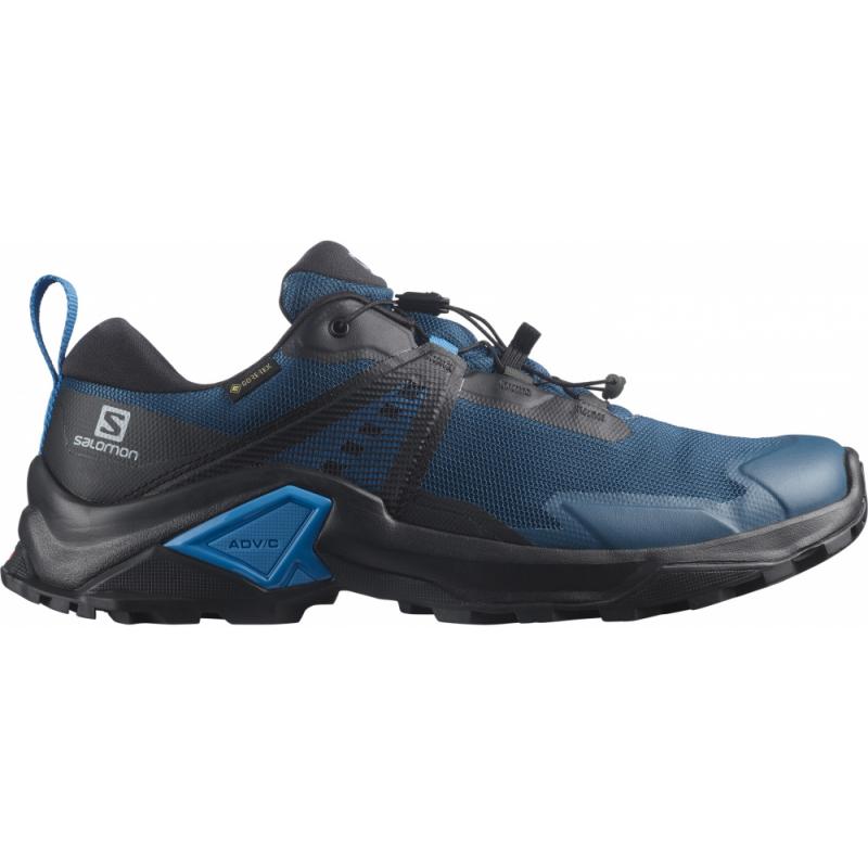 Salomon X Raise 2 Gtx Legion Blue/magnet