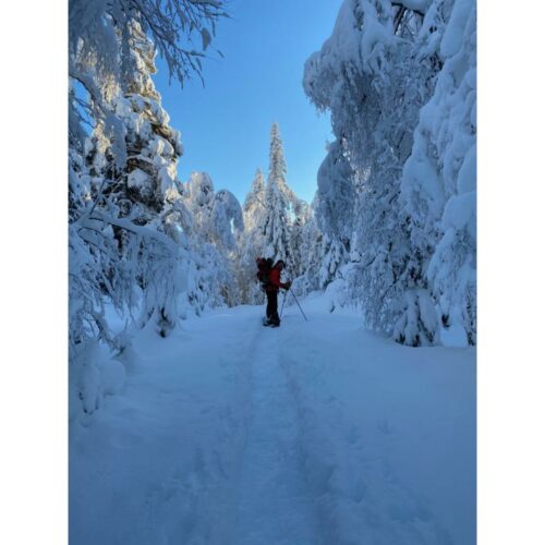 Utleie Friluftsbua AS Utleie Truger