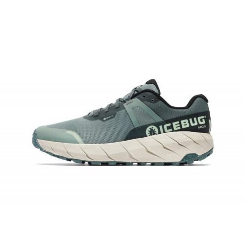 Icebug Arcus W Rb9x Gtx C Green/Stone