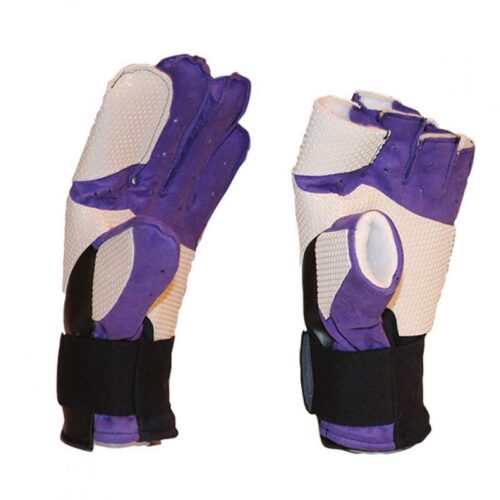 Landrø 1 Skytterhanske Lilla