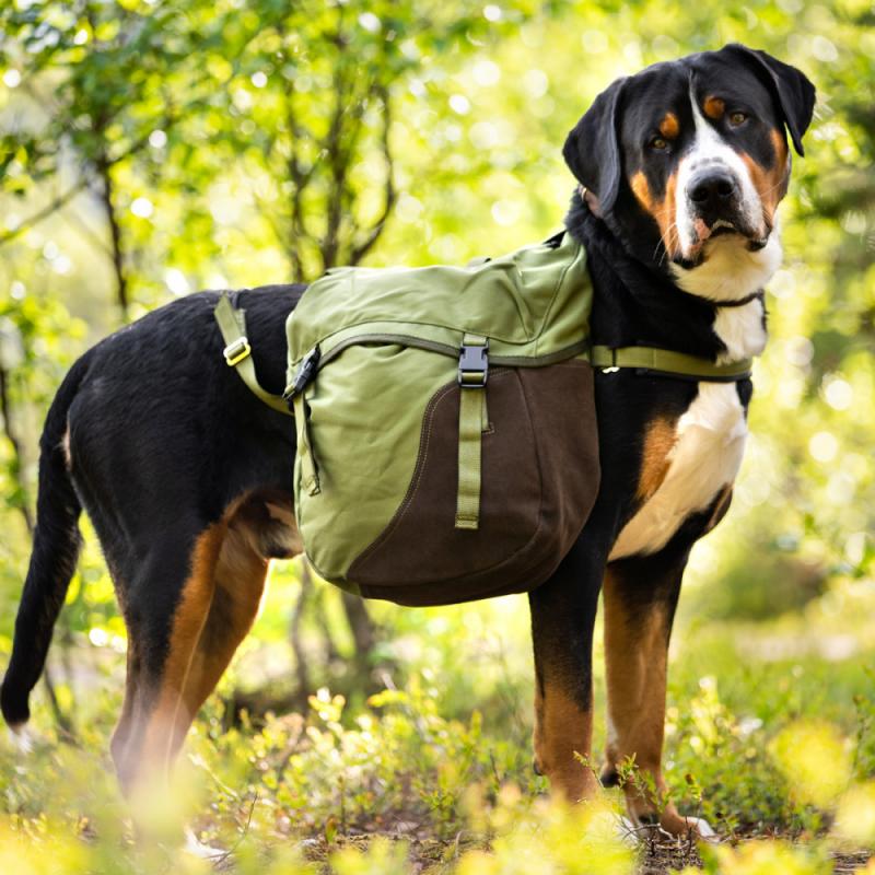 Seleverkstedet Togo Kløv - Bilde 5