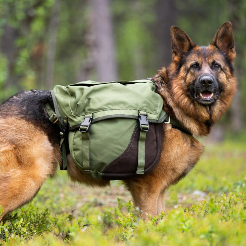 Seleverkstedet Togo Kløv - Bilde 4