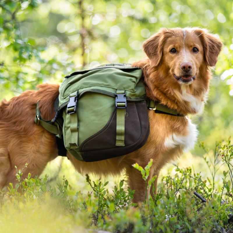 Seleverkstedet Togo Kløv - Bilde 3