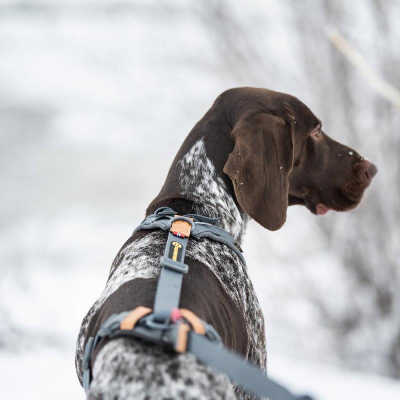 Seleverkstedet Trekreg Harness hundesele - Bilde 2